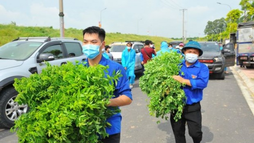 Hanoi’s youths join hands to fight pandemic