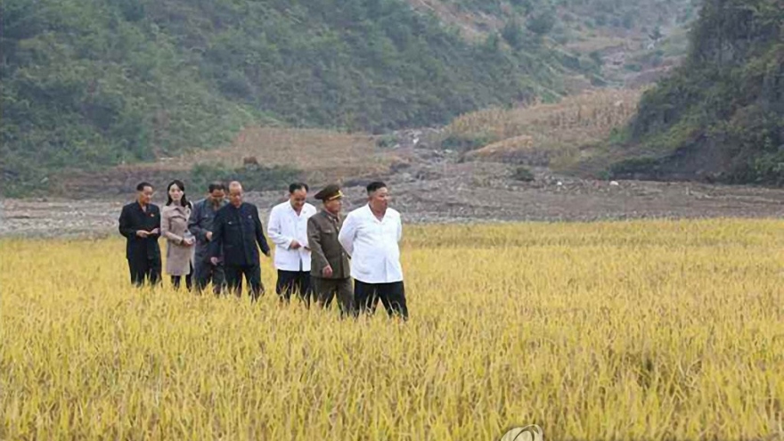 Nhà lãnh đạo Triều Tiên điều động quân đội hỗ trợ lũ lụt