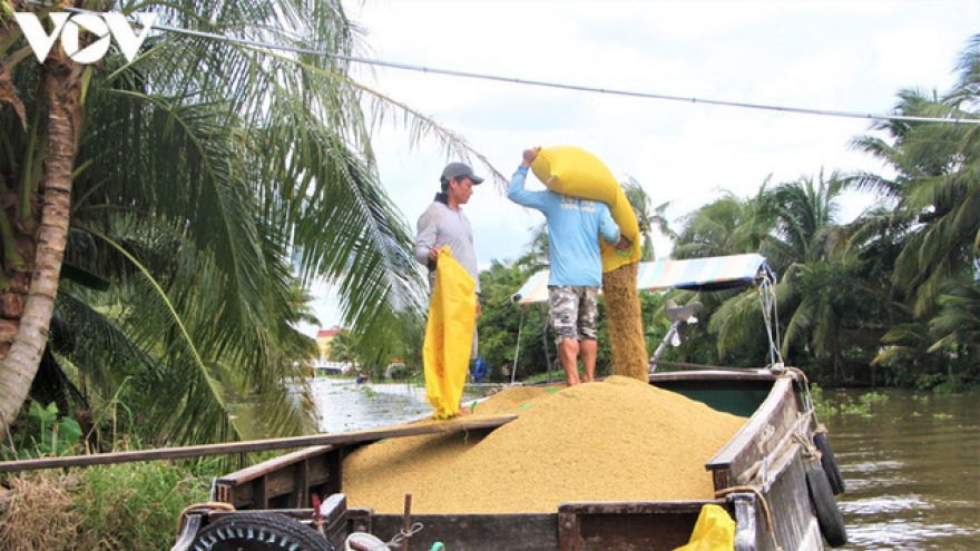 Khơi thông "luồng xanh" đường thủy, đảm bảo việc thu mua lúa gạo cho bà con