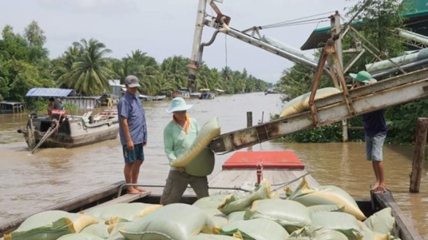 Các tuyến vận tải thủy đều được coi là “luồng xanh”