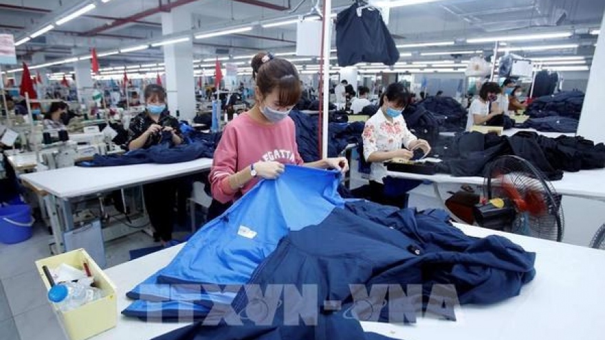 EVFTA - A catalyst for Vietnamese businesses: diplomat