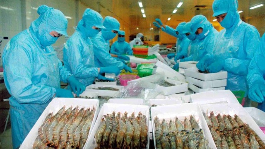 Australia increases imports of Vietnamese shrimp