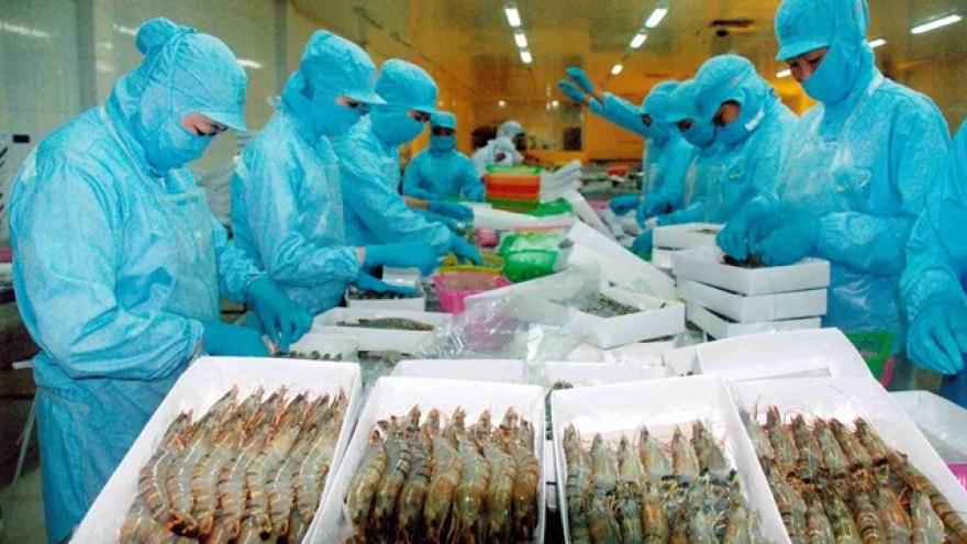 Australia increases imports of Vietnamese shrimp 