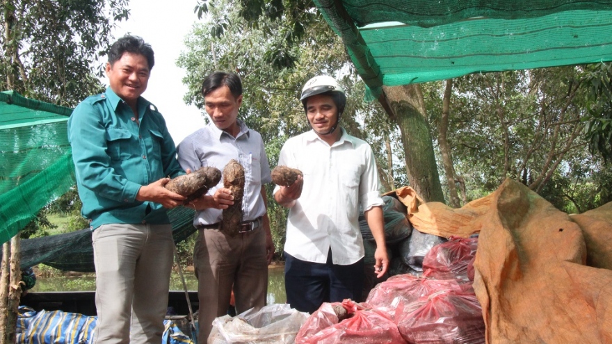 Long An nỗ lực đưa nông sản lên sàn thương mại điện tử