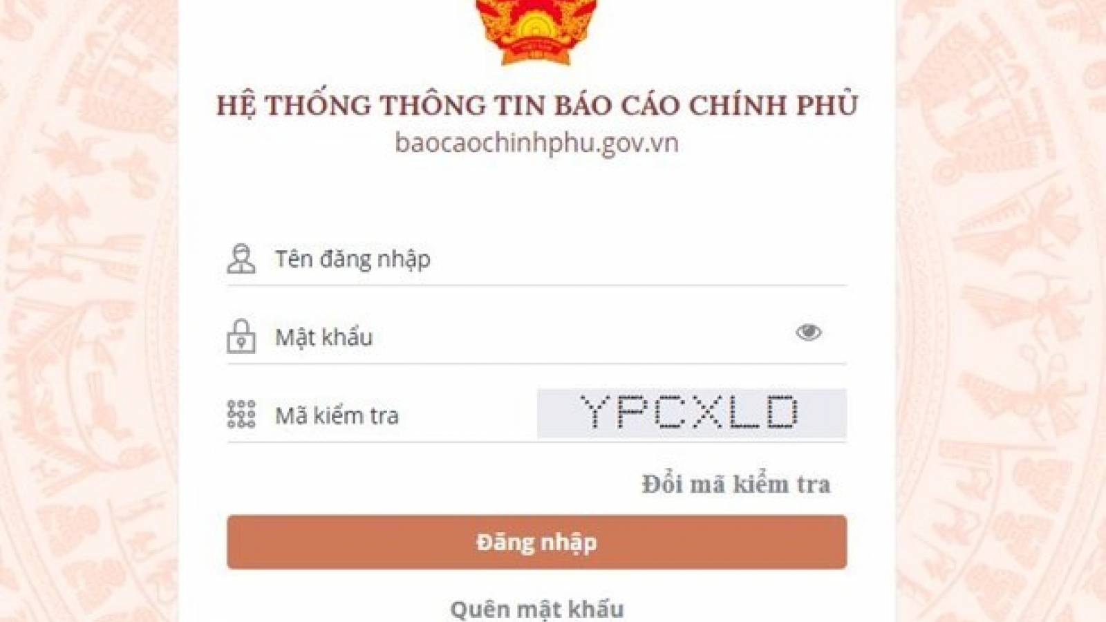 Support to pandemic-hit groups updated daily on gov't information reporting system