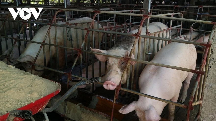 Vietnam spends big on animal feed imports