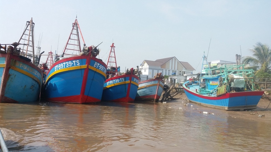 Bến Tre giải cứu hàng trăm tấn hải sản tồn đọng ở cảng cá Bình Đại