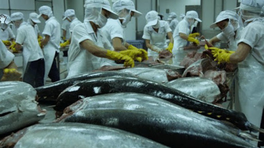 Tuna exports to major markets drop due to COVID-19