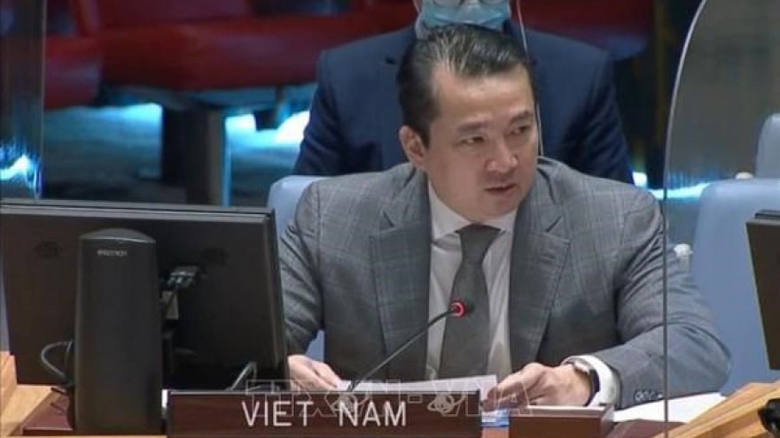 Vietnam condemns use of chemical weapons at UNSC discussion