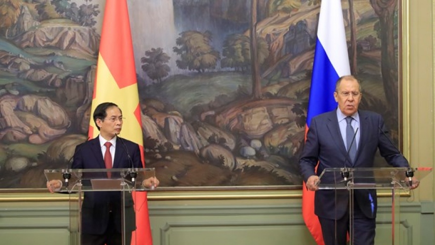 Vietnam - Russia partnership keeps developing dynamically: FMs
