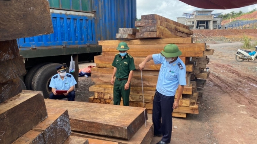 Các lực lượng chức năng Quảng Trị bắt xe chở gỗ lậu và đá phấn trị giá trên 29 tỷ đồng
