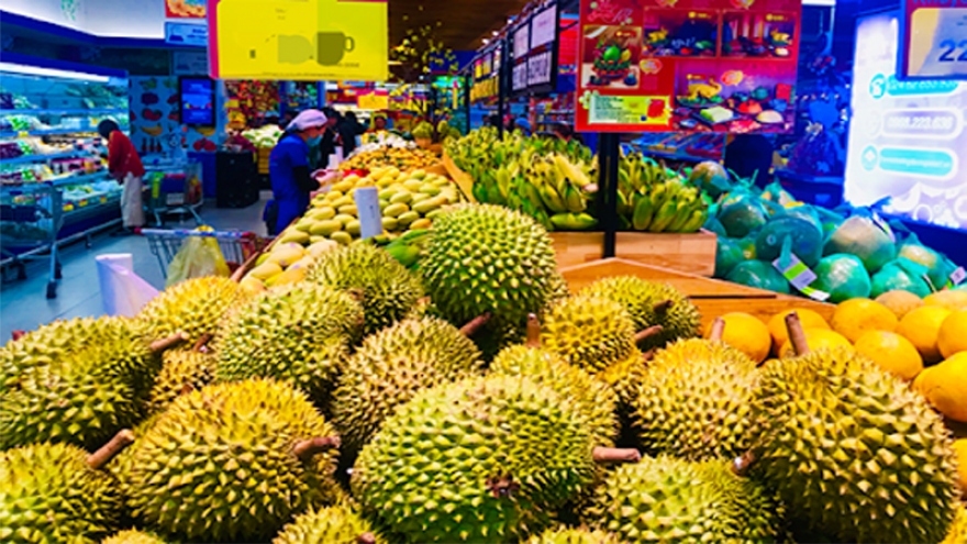 Vietnamese durians gain foothold in Australia