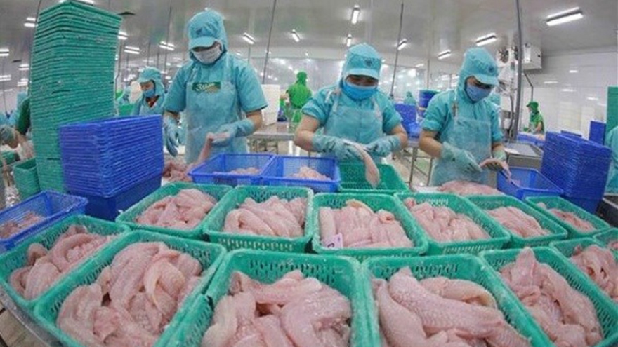 Many Vietnamese seafood exporters not subject to US anti-dumping tariffs