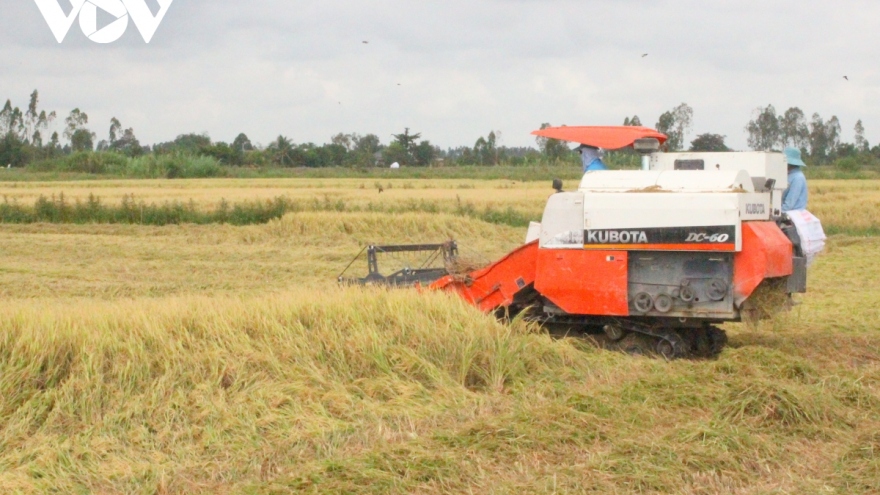 Dịch Covid-19 và bài toán chuỗi liên kết sản xuất tiêu thụ trong nông nghiệp