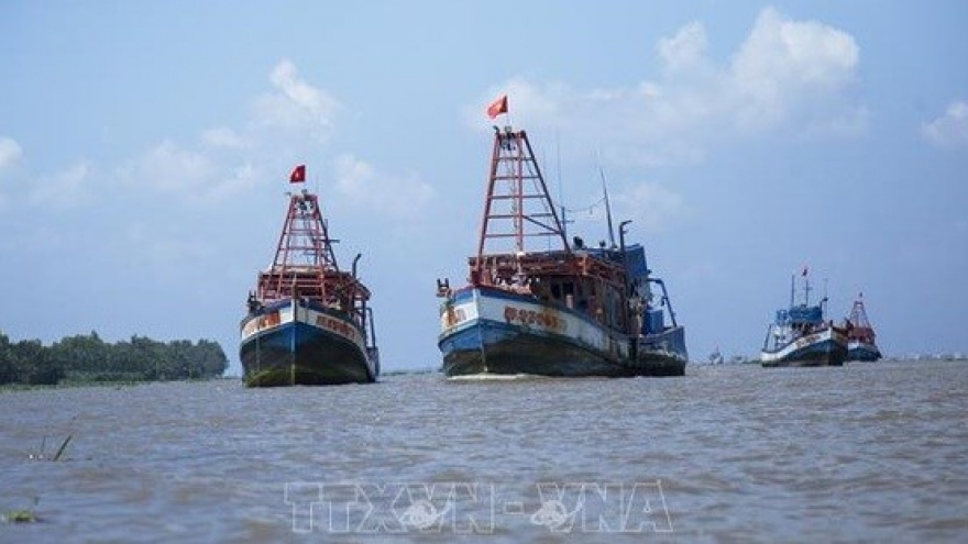 Kien Giang aims to end IUU fishing in 2021