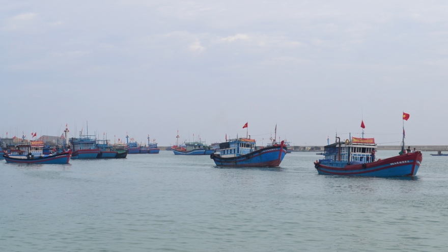 Quảng Ngãi vận động đưa 13 ngư dân Lý Sơn đi cách ly tập trung