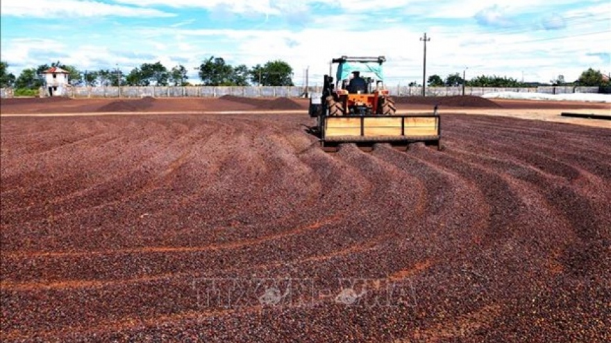 Vietnamese farm produce favoured in China