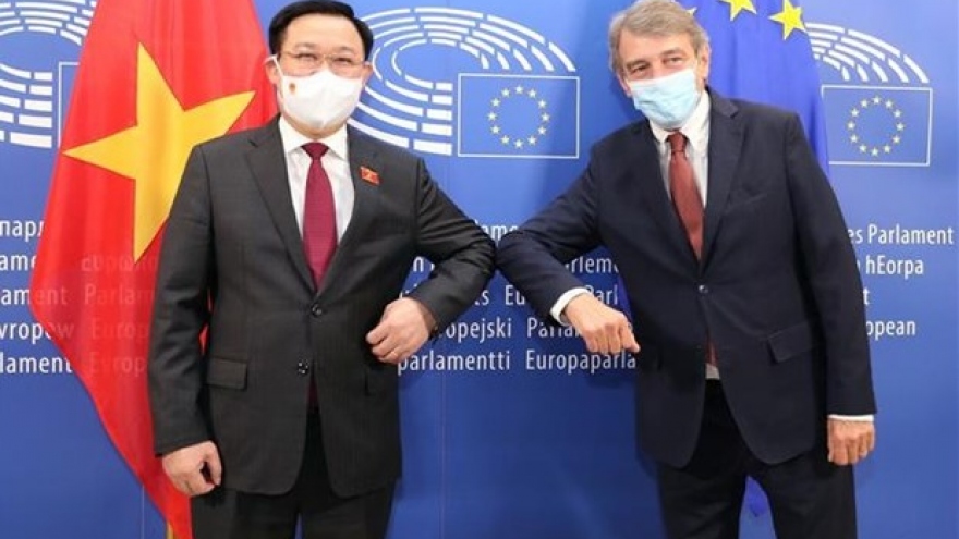 Vietnam, EP aspire to augment all-around cooperation