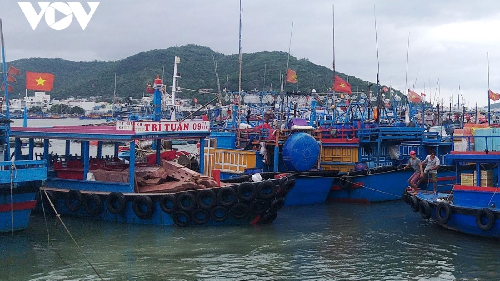 Còn 224 tàu, thuyền trong vùng nguy hiểm của bão số 5