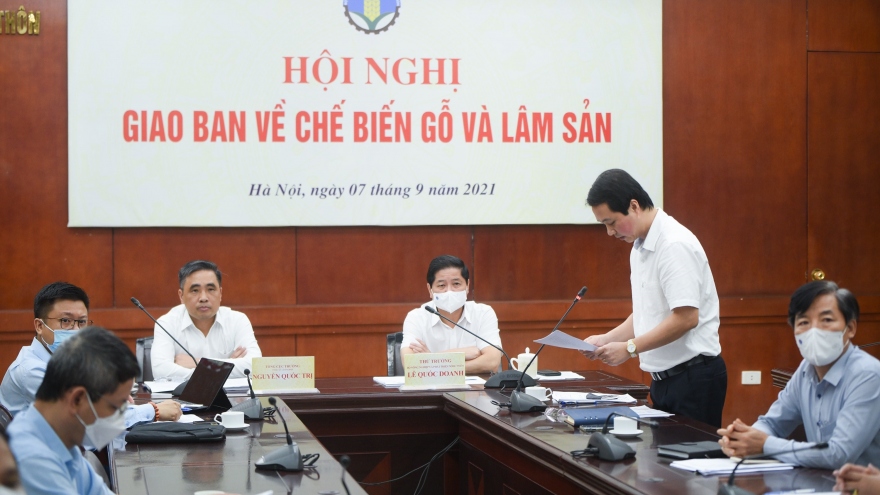 DN chế biến gỗ và xuất khẩu lâm sản đóng cửa, mục tiêu xuất khẩu 14,5 tỷ USD bị lung lay
