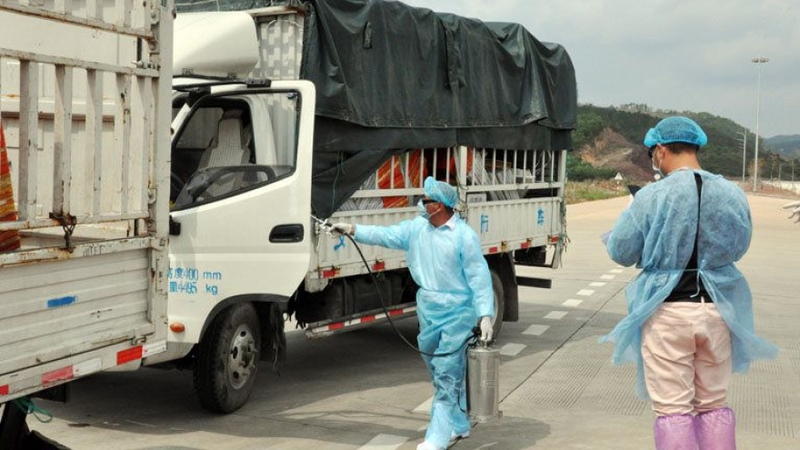 Trung Quốc tạm dừng nhập khẩu thanh long qua lối mở Km3+4 Quảng Ninh