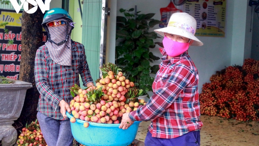 Thủ tướng Chỉ thị: Bộ, ngành địa phương tạo cơ chế thúc đẩy, lưu thông tiêu thụ nông sản