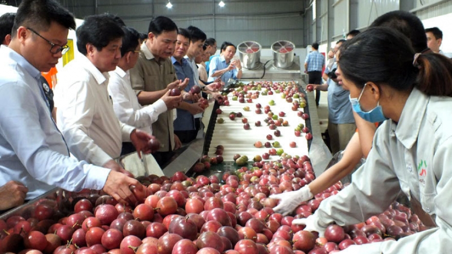 Vietnam aims to become world’s farm produce granary