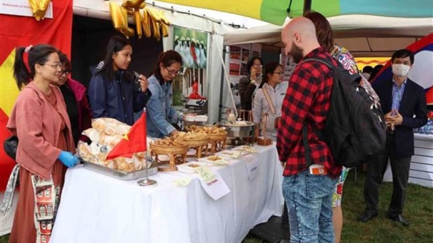 Vietnam joins Workers' Party of Belgium solidarity festival