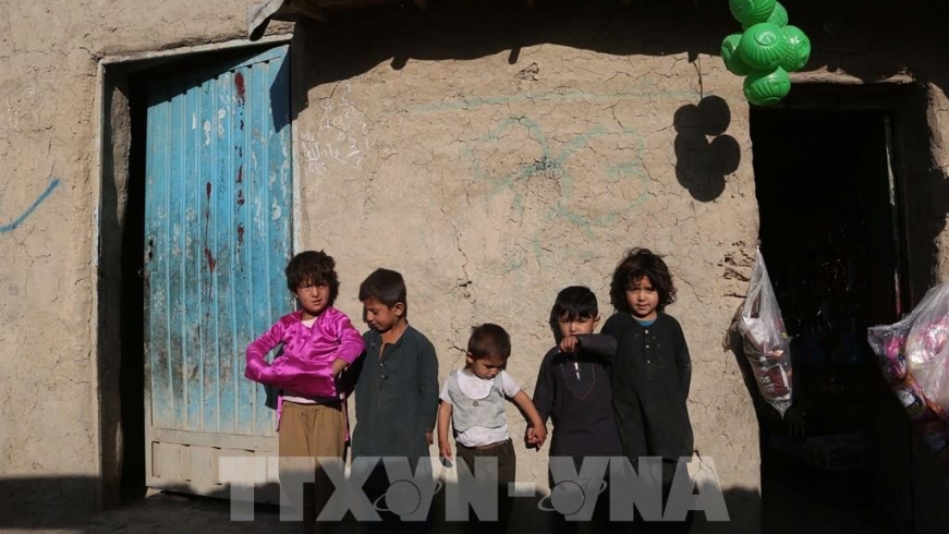 Nhật Bản viện trợ nhân đạo 65 triệu USD cho Afghanistan
