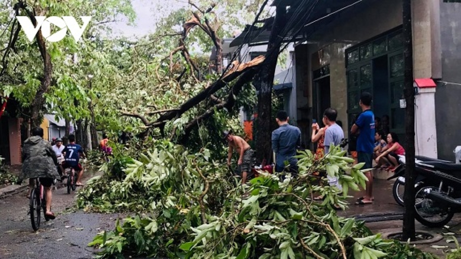 Từ nay đến cuối năm sẽ có 6 đến 8 cơn bão và áp thấp nhiệt đới trên Biển Đông