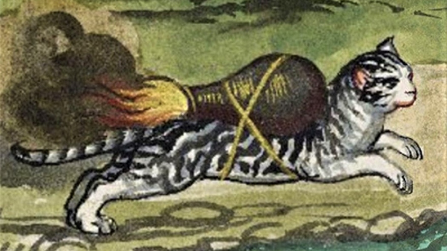 Kỳ lạ mèo từng được sử dụng làm “tên lửa” ở thời Trung Cổ
