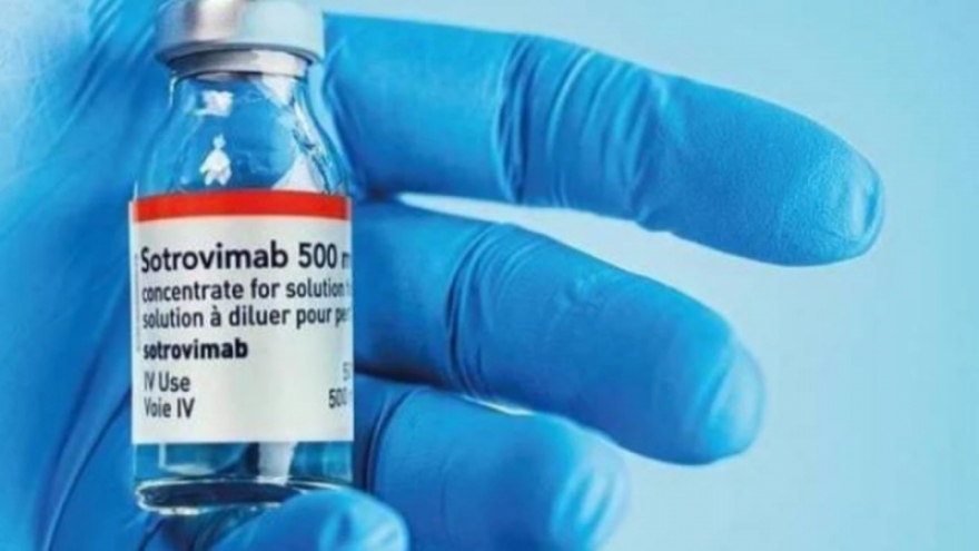 Australia mua thêm thuốc Sotrovimab điều trị Covid-19