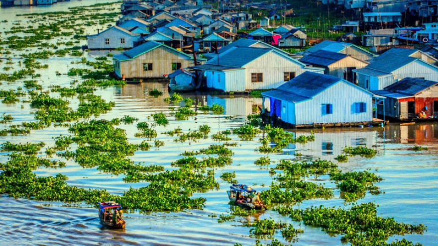 USAID, partners launch project to protect key coastal habitats in Mekong Delta region