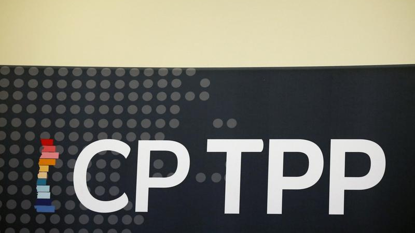 Trung Quốc xin gia nhập CPTPP, Mỹ và các nước thành viên "lo ngay ngáy"
