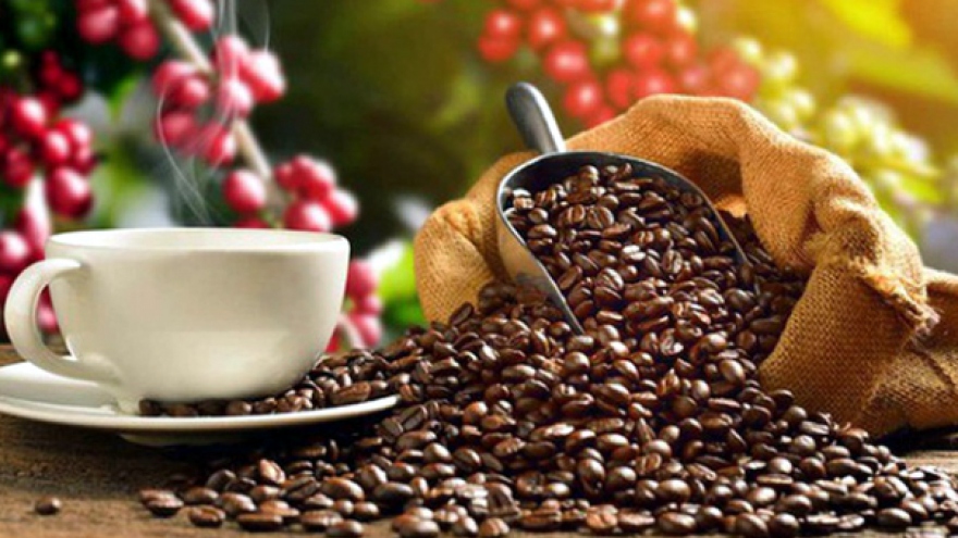 Giá cà phê hôm nay 2/8: Trong nước tăng 600 đồng/kg sau khi giảm giá