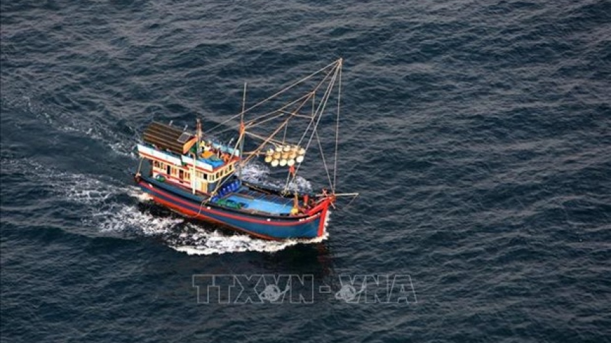 Fight against IUU fishing: violations strictly handled