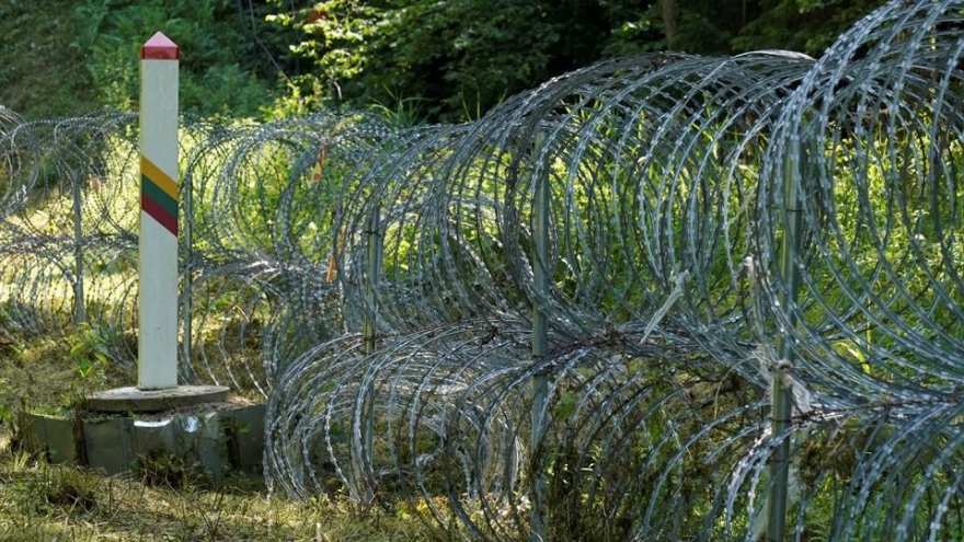Litva và Latvia bắt đầu xây dựng hàng rào chống người di cư ở biên giới với Belarus