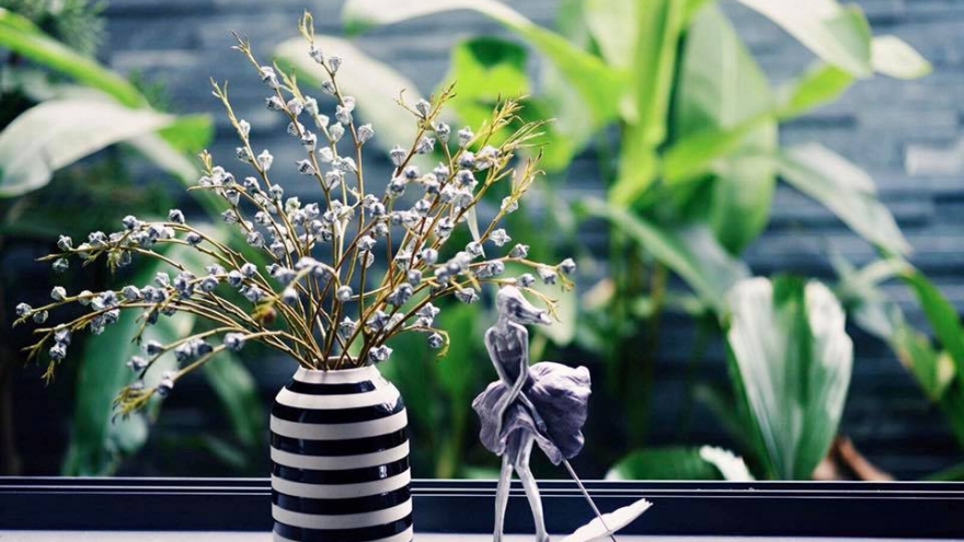 Cành hoa hiếm thấy, nở có mùi hương lạ khiến chị em “phát sốt” 