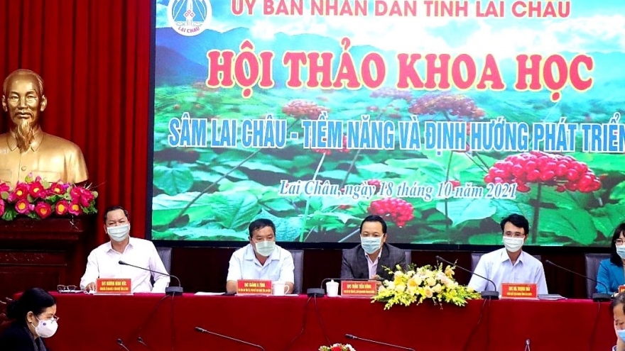 Chủ tịch tỉnh Lai Châu mong muốn học hỏi mô hình trồng sâm của Hàn Quốc