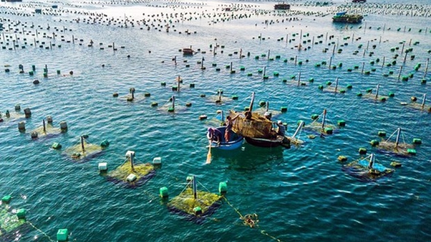 Project on marine aquaculture development till 2030 approved