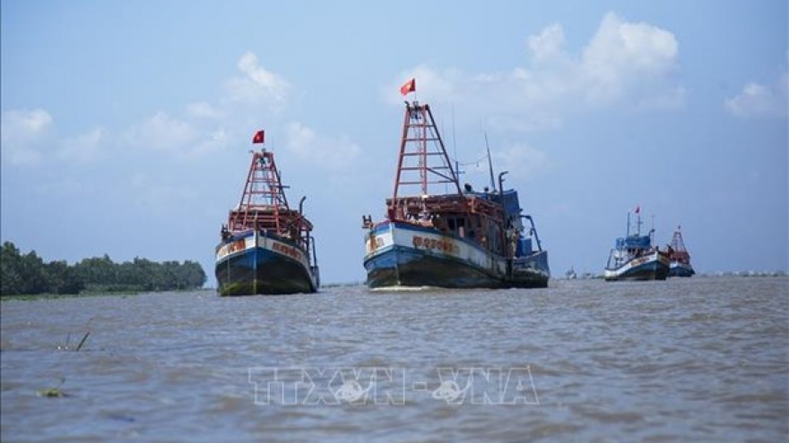 EC to review Vietnam's efforts against IUU at online meeting