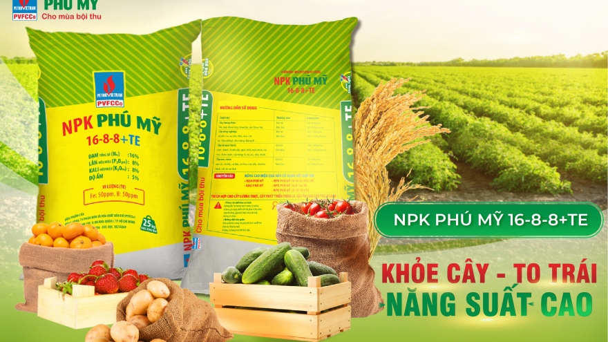 NPK Phú Mỹ năm 2021: Tăng trưởng vượt bậc