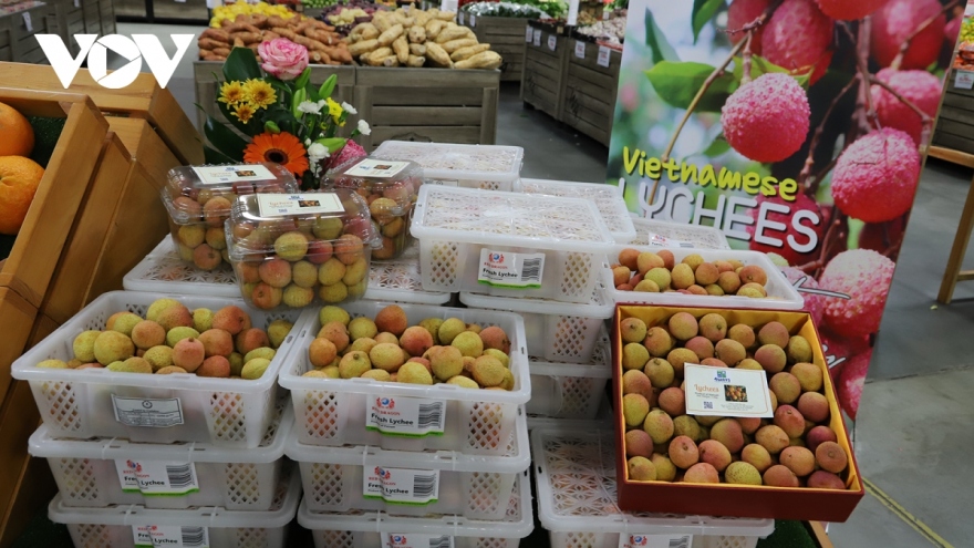 Improving product quality and design - key for Vietnamese fruit to enter foreign markets