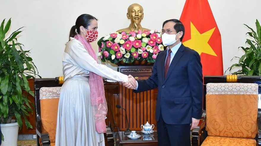 FM expects Vietnam, New Zealand to propel strategic partnership forward