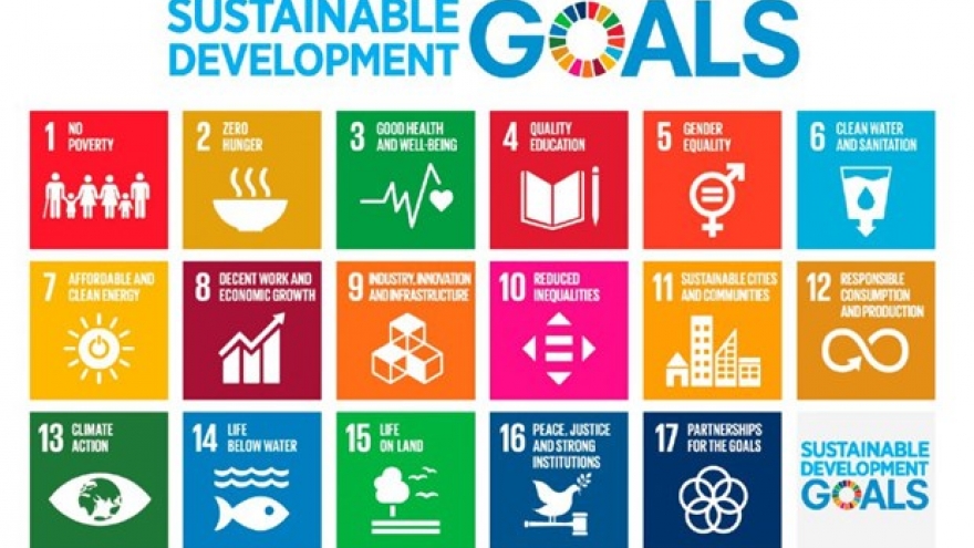 Vietnam needs stronger efforts to achieve SDGs: Workshop