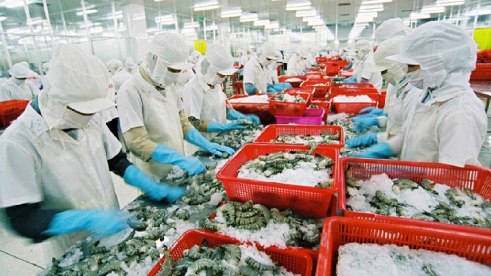 Plenty of room for Vietnamese products to enter Mexico