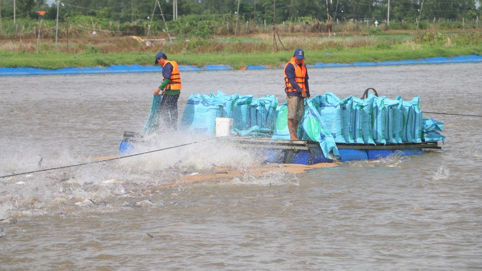 ĐBSCL nỗ lực phục hồi kinh tế thích ứng linh hoạt với dịch bệnh sau giãn cách 