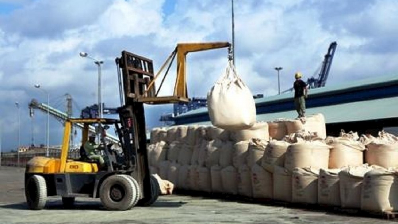 Cement exports record surge amid decline in domestic consumption