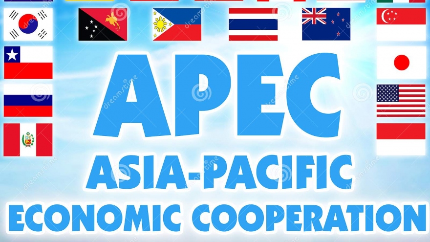 Deputy FM highlights responsible Vietnamese contributions to APEC