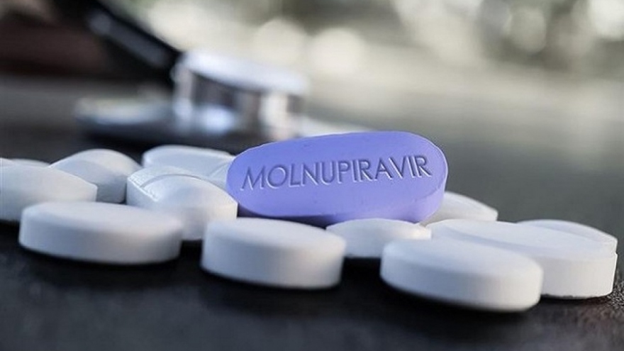 Vietnam produces antiviral Molnupiravir for COVID-19 treatment